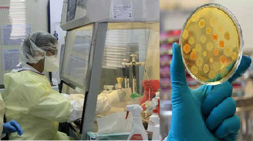 شركة “موديرنا الأمريكية” تعلن عن لقاح جديد يسجل نتائج إيجابية ضد “فيروس كورونا “