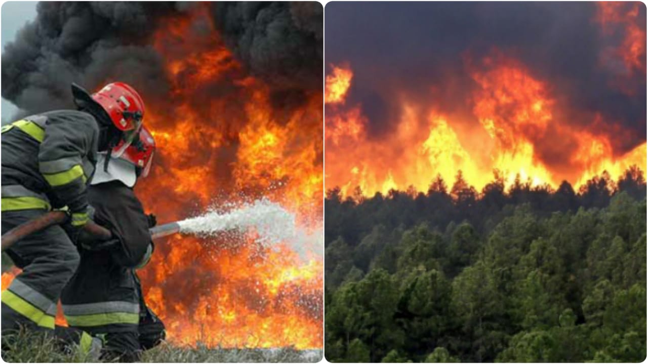 الجزائر تستغيت وجهود شعبية للمساهمة في إخماد الحرائق الضخمة ب”تيزي وزو”